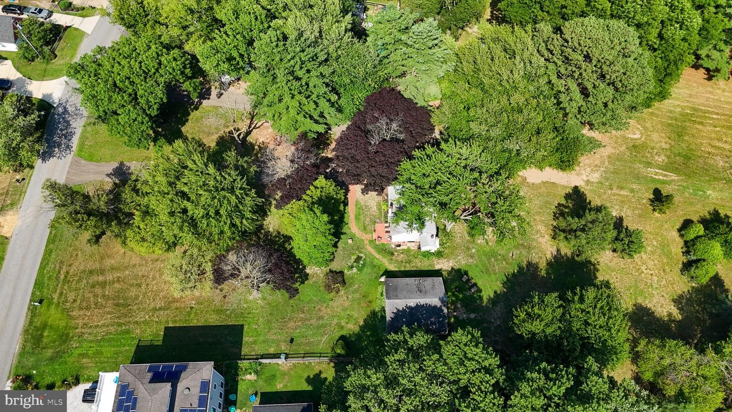 901 Chester River Drive photo 13