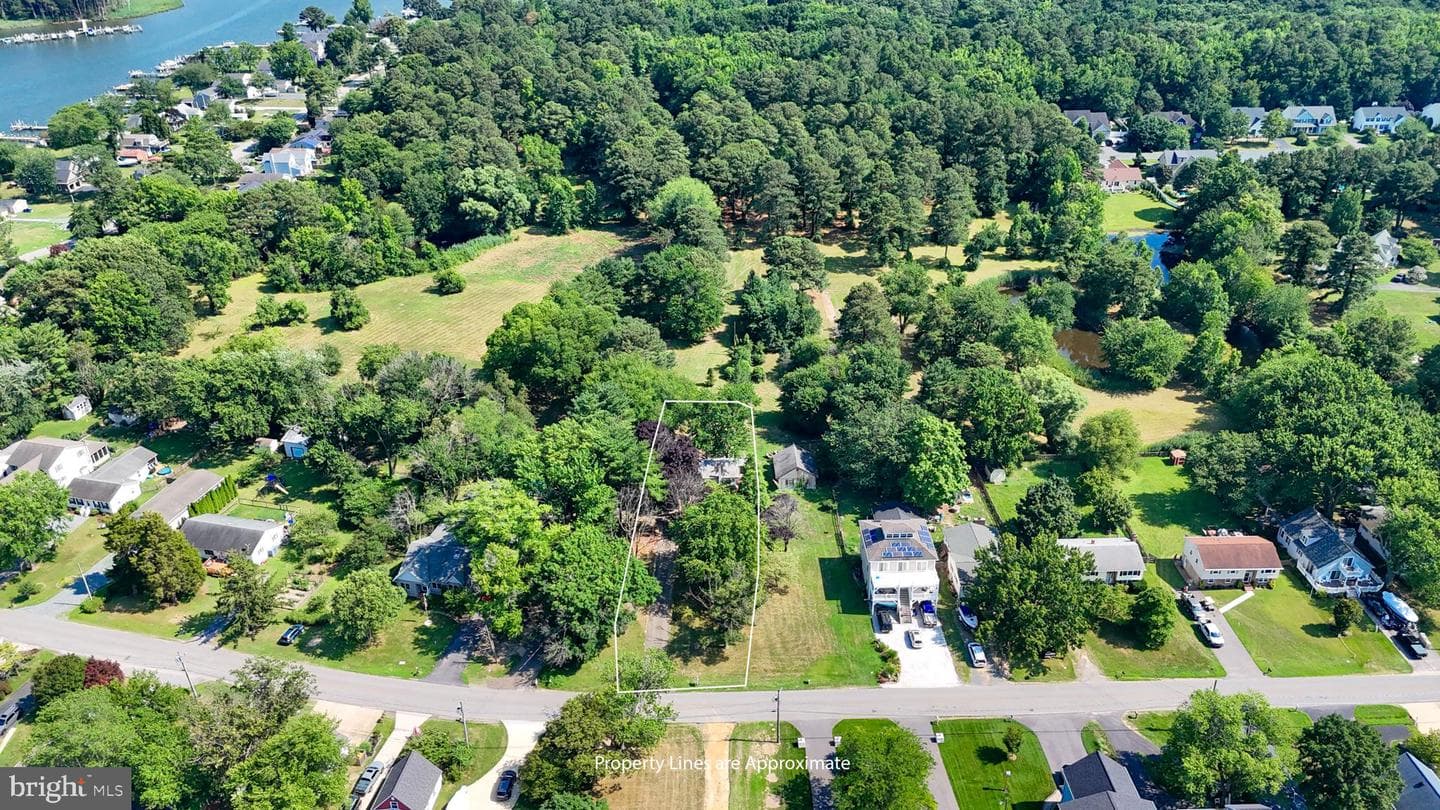 901 Chester River Drive photo 3