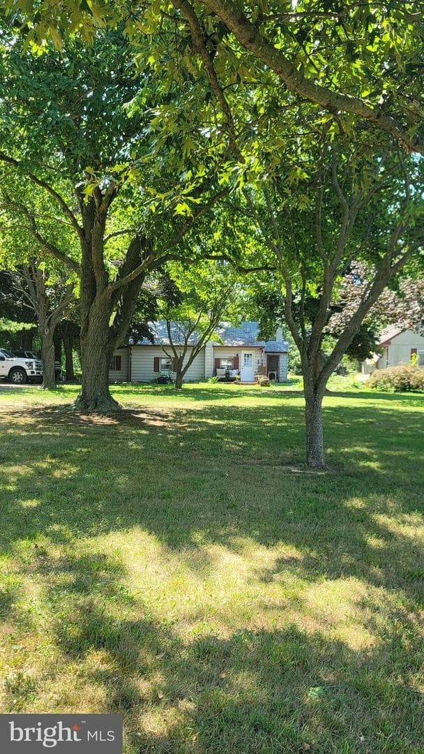 901 Chester River Drive photo 5