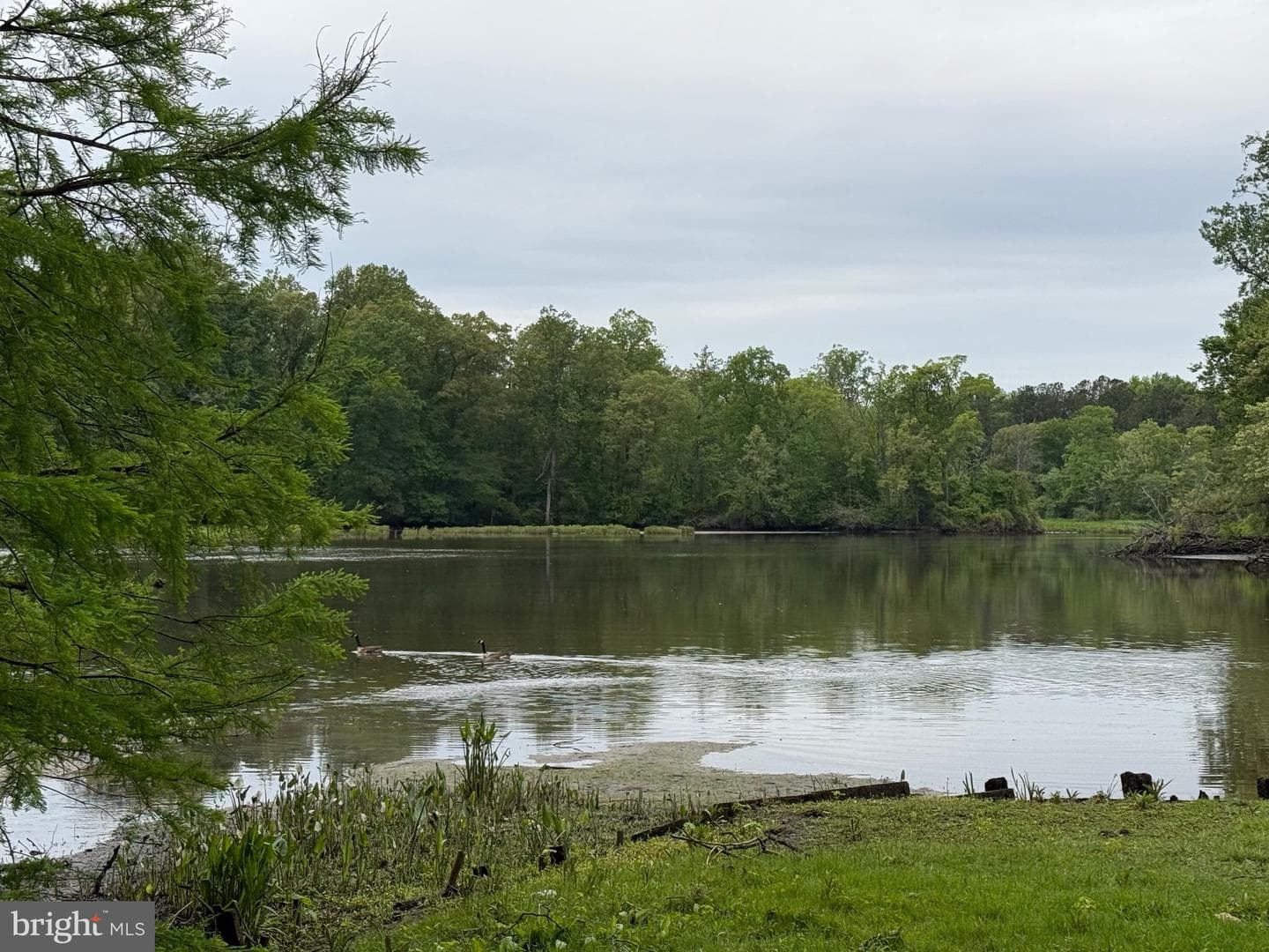 220 Kirbys Landing Road photo 34
