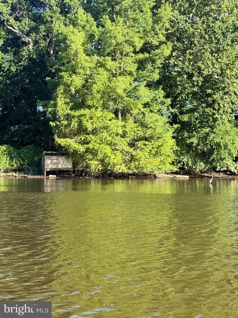 220 Kirbys Landing Road photo 36