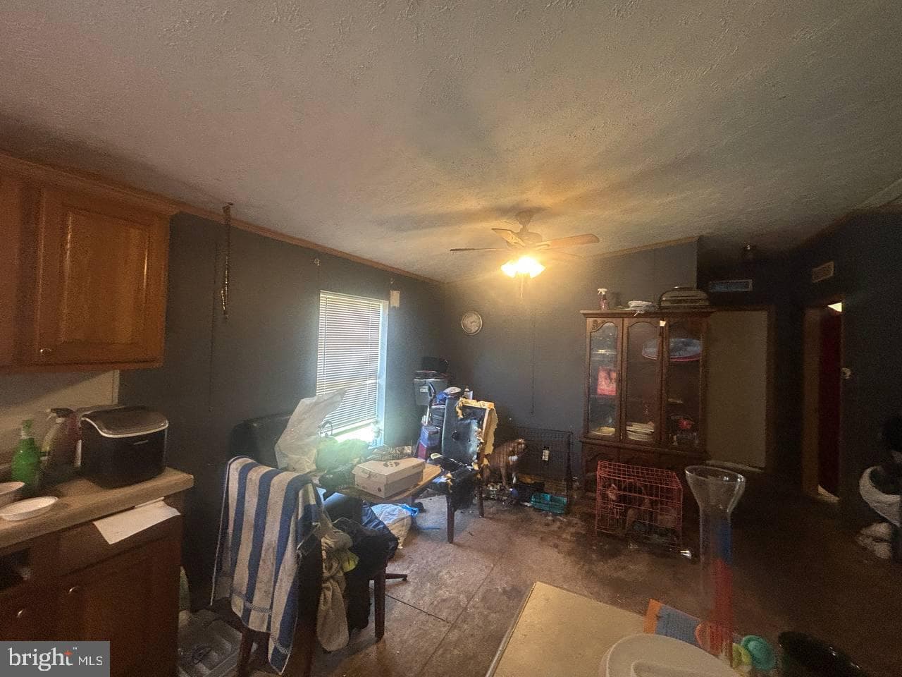 3701 Barclay Road photo 20