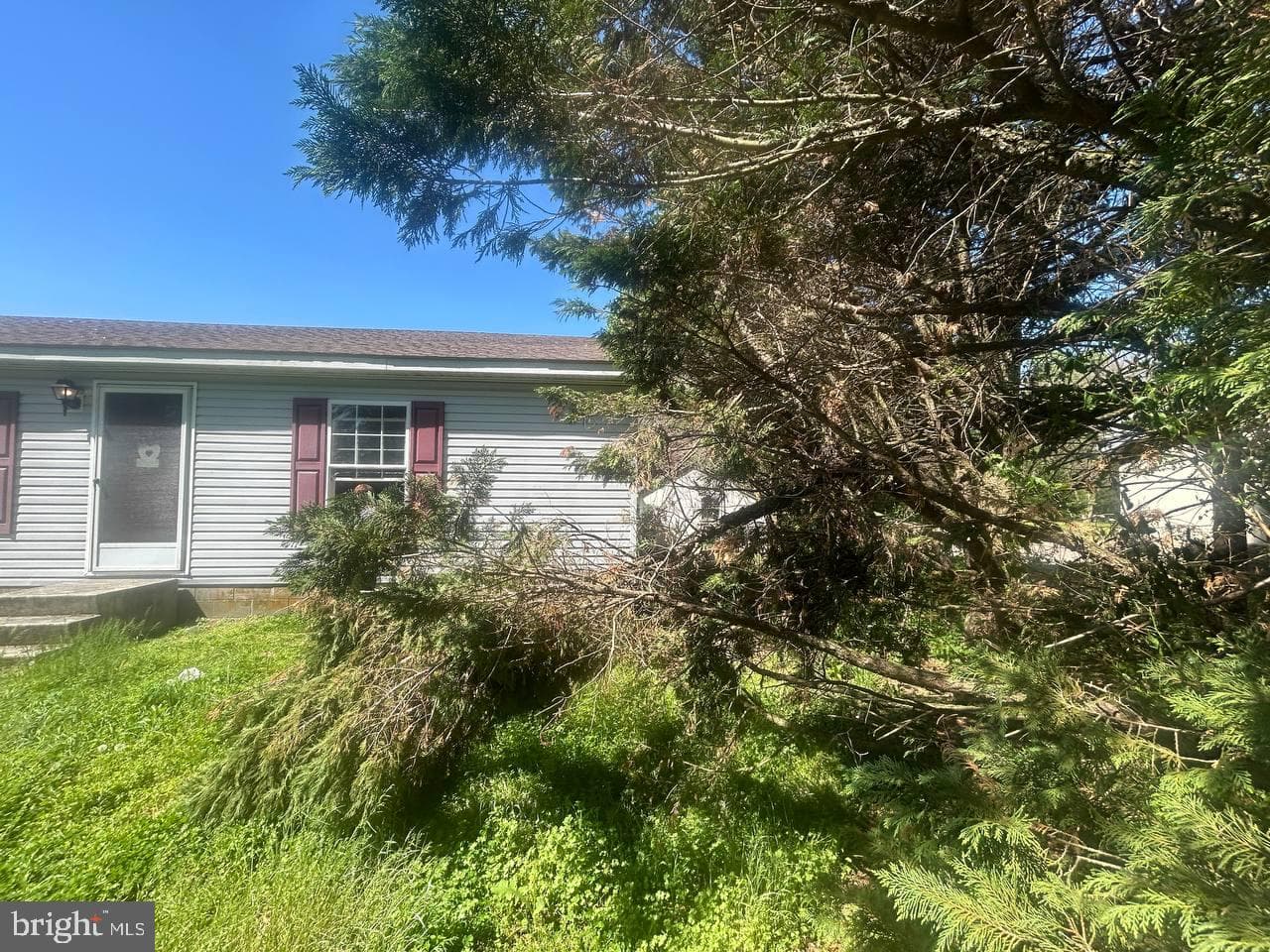 3701 Barclay Road photo 5