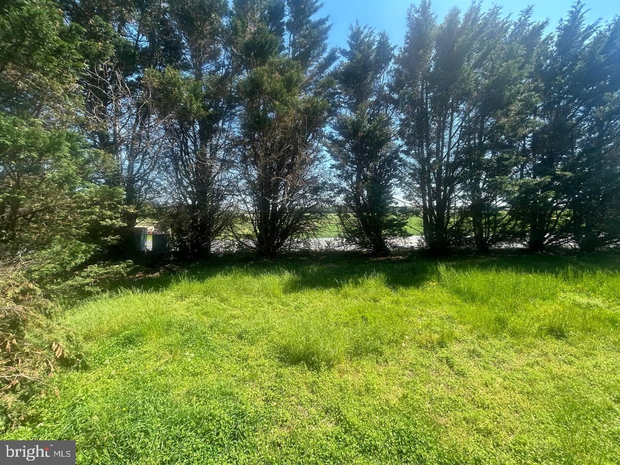 3701 Barclay Road photo 6