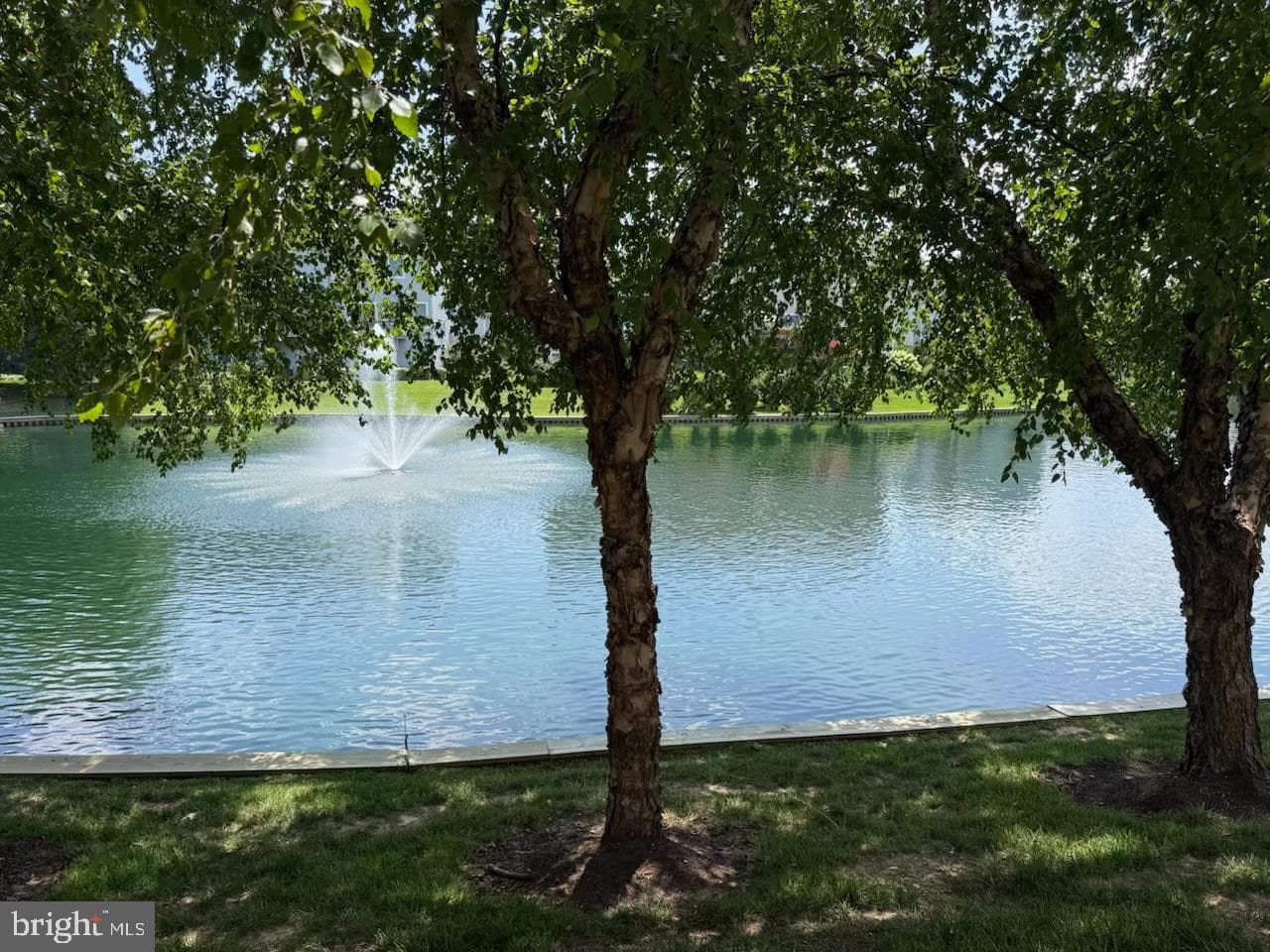 302 Merganser Court #a photo 2
