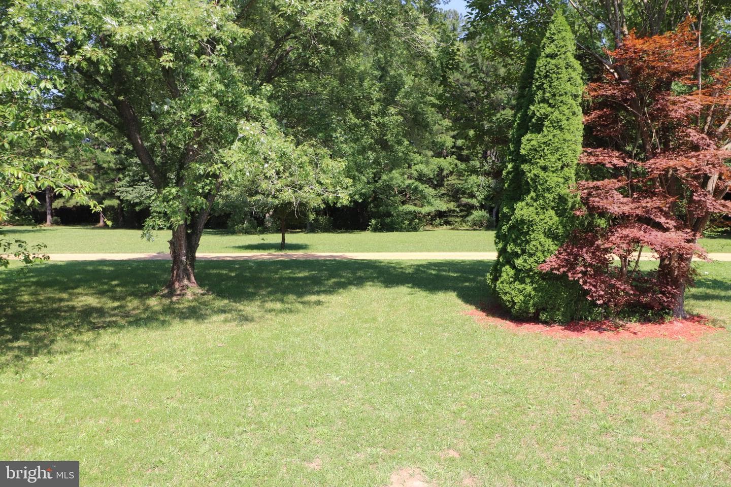 20215 Janeen Lane photo 24