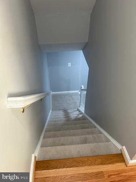 46119 Thoroughbred Way photo 42