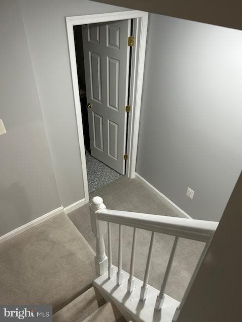 46119 Thoroughbred Way photo 43