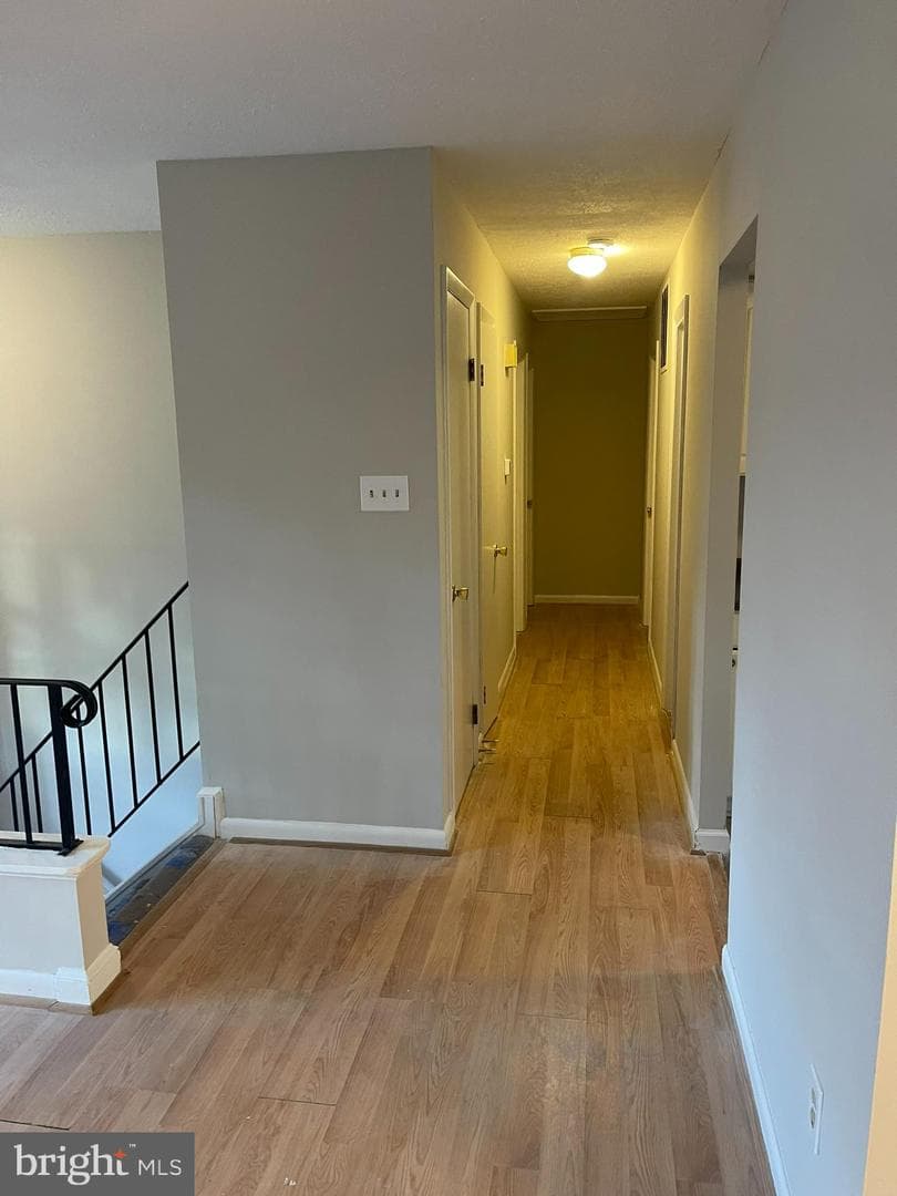 29982 Douglas Circle photo 9