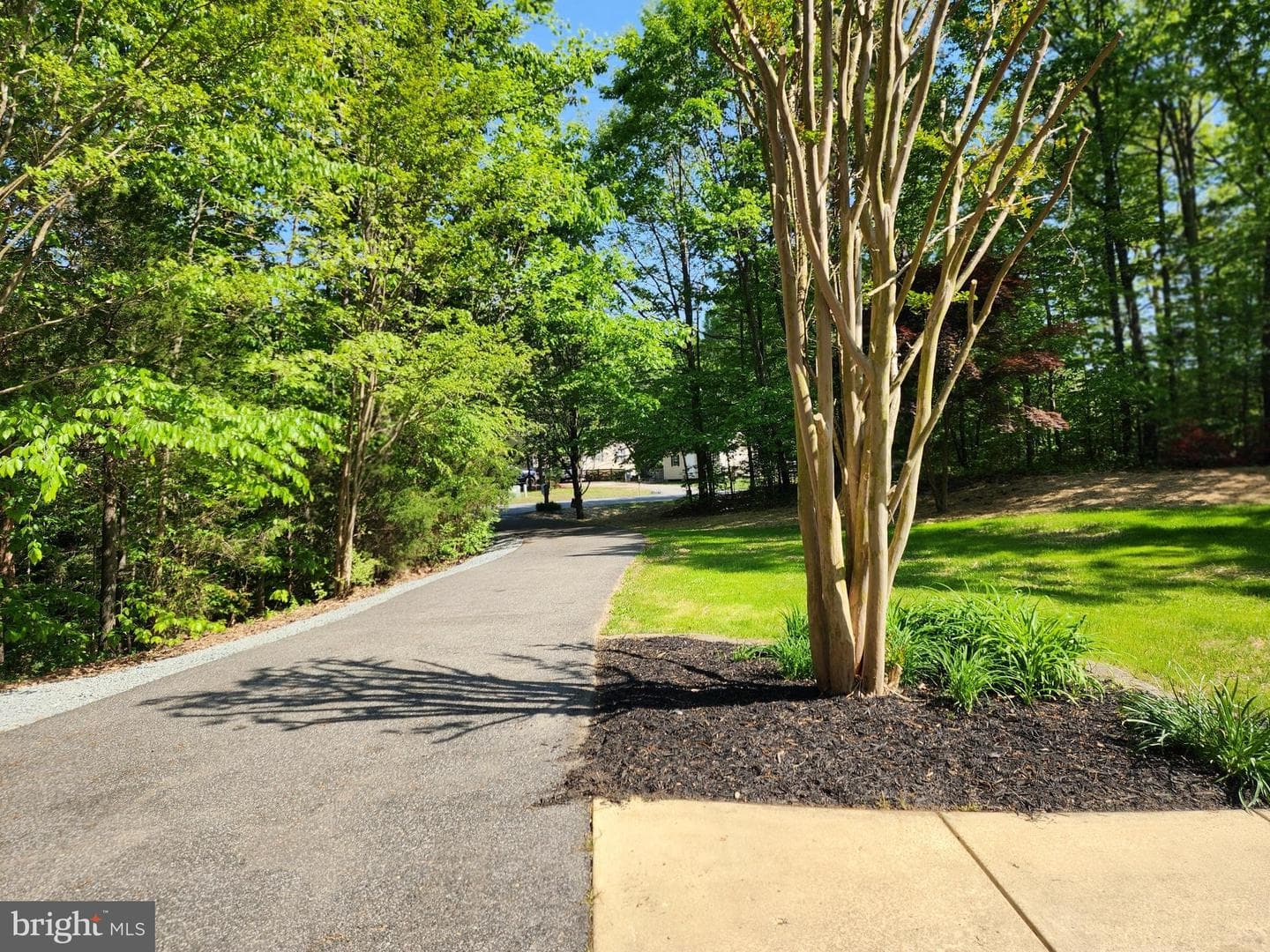 27255 Farmington Court photo 18