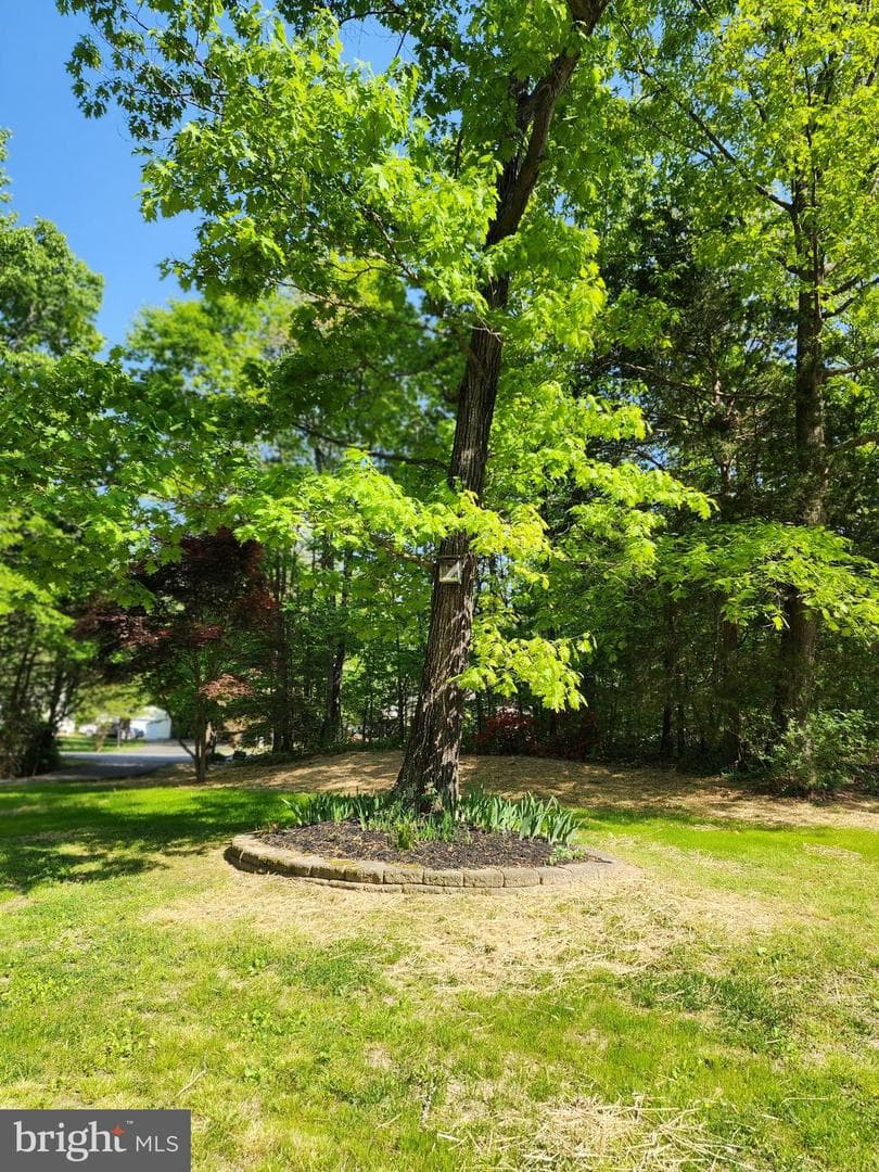 27255 Farmington Court photo 19