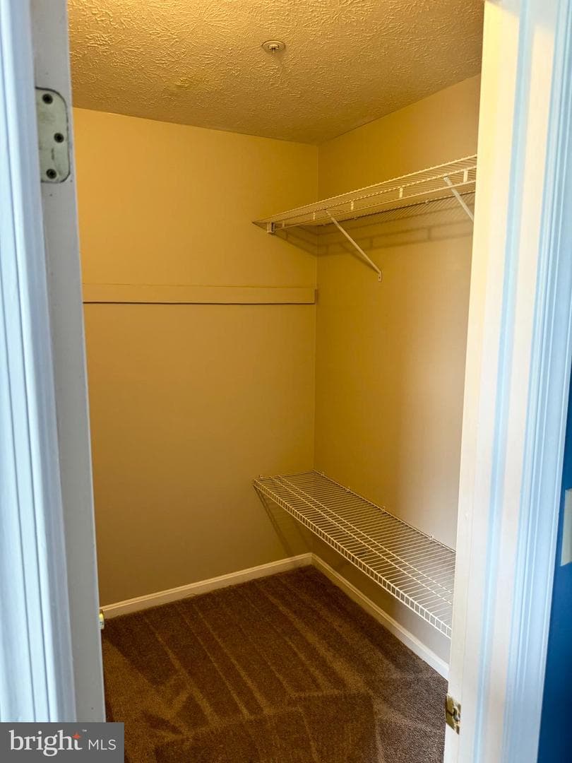 46099 Lucca Way photo 17