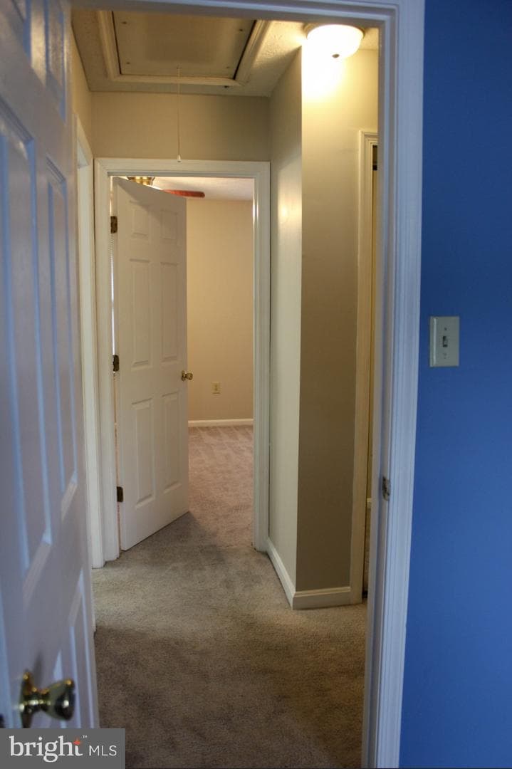 46099 Lucca Way photo 18