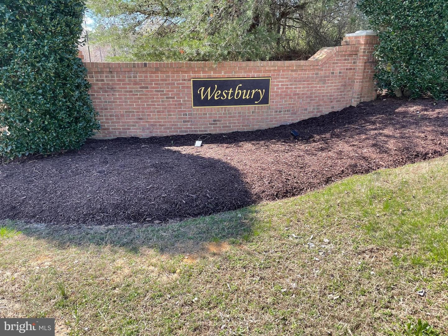 46099 Lucca Way photo 28