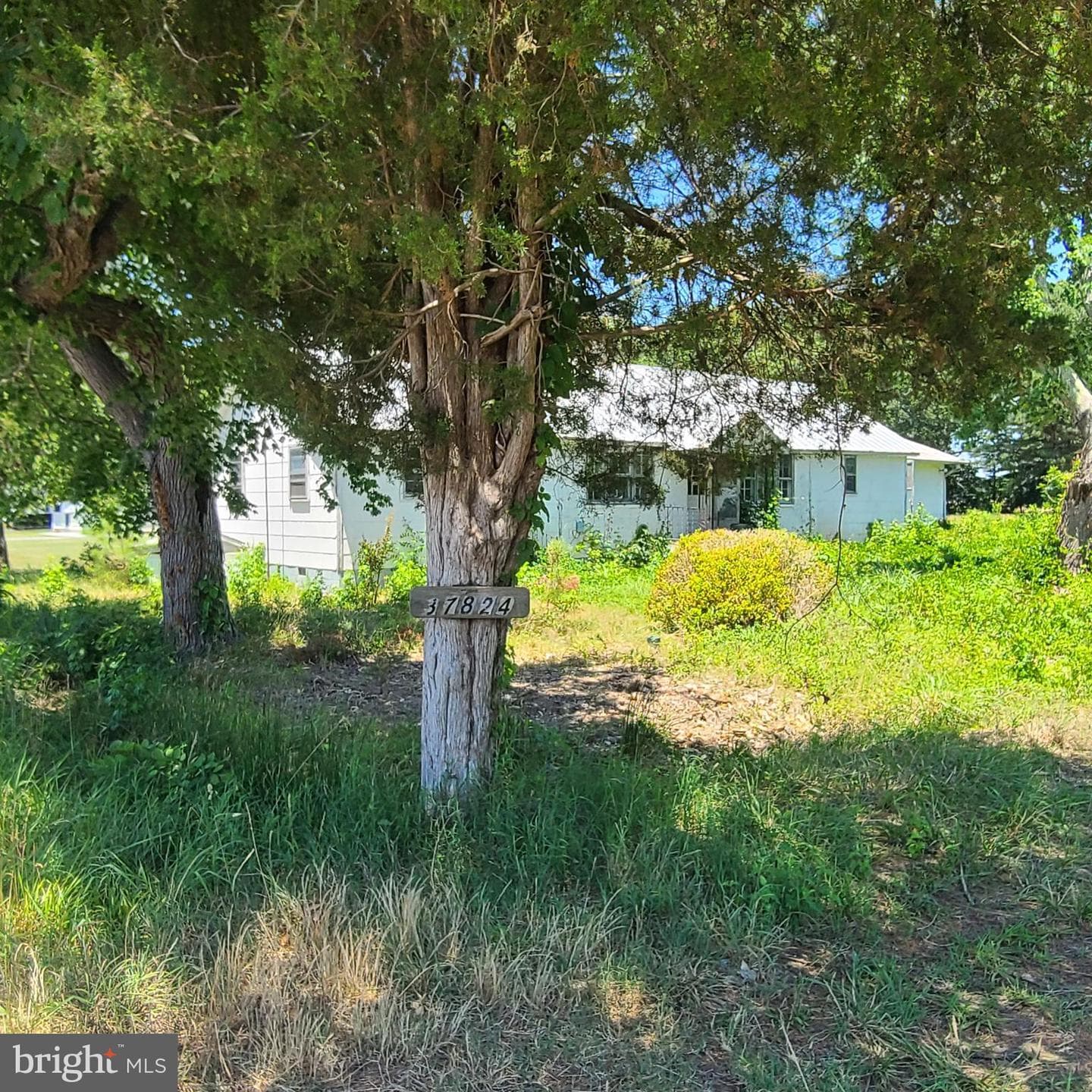 37824 Paul Ellis Road photo 16