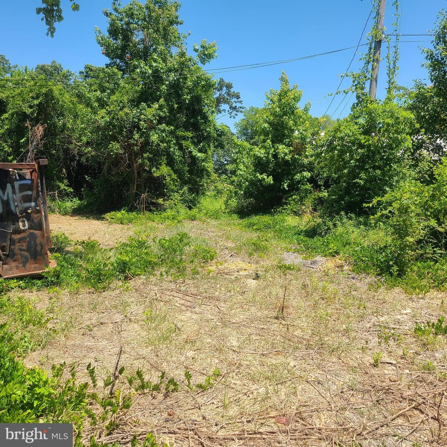 37824 Paul Ellis Road photo 17