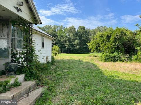 37824 Paul Ellis Road photo 23