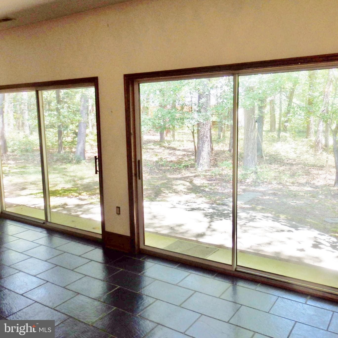 23074 Purple Plum Way photo 26