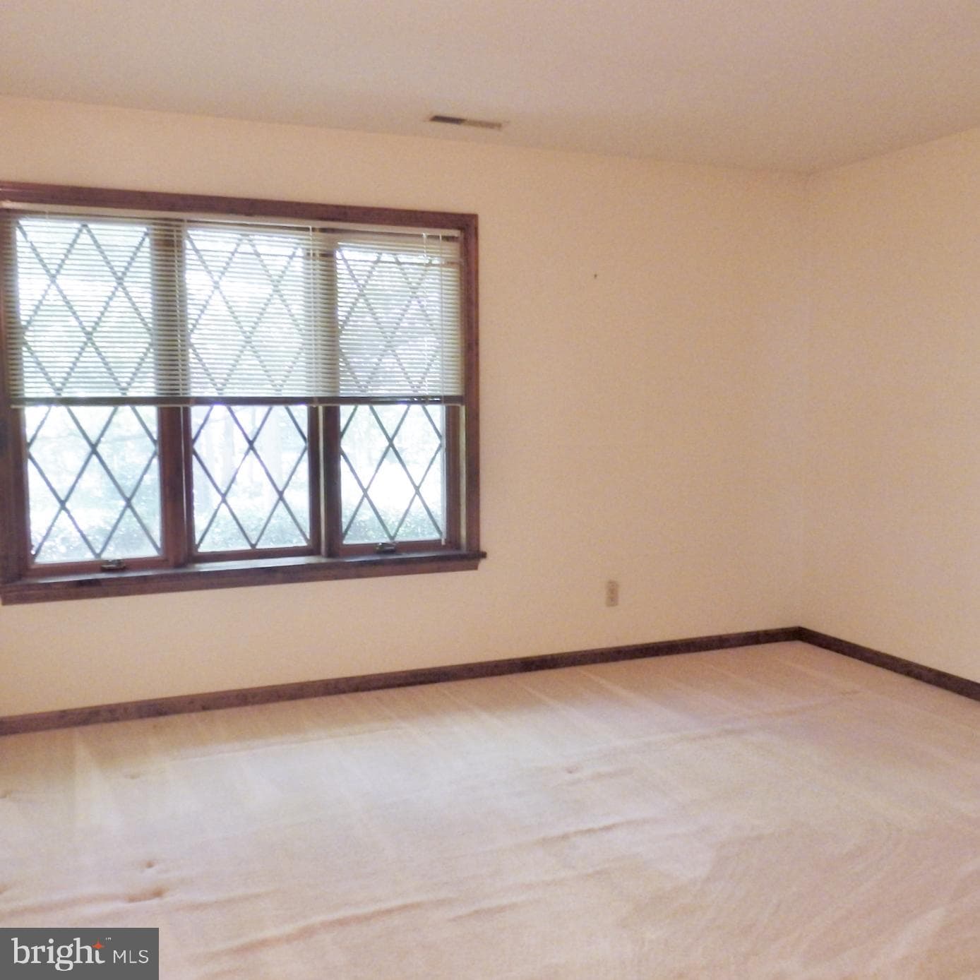 23074 Purple Plum Way photo 33