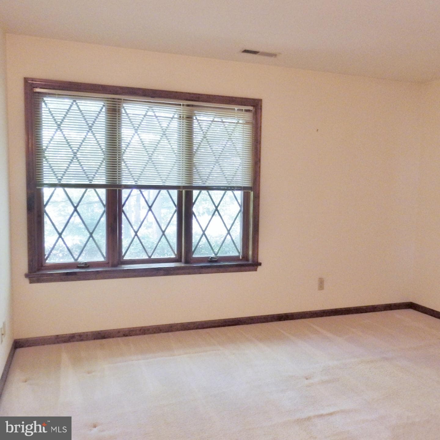 23074 Purple Plum Way photo 35