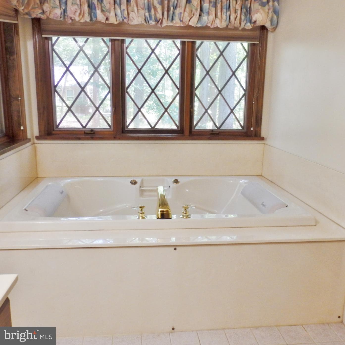 23074 Purple Plum Way photo 41