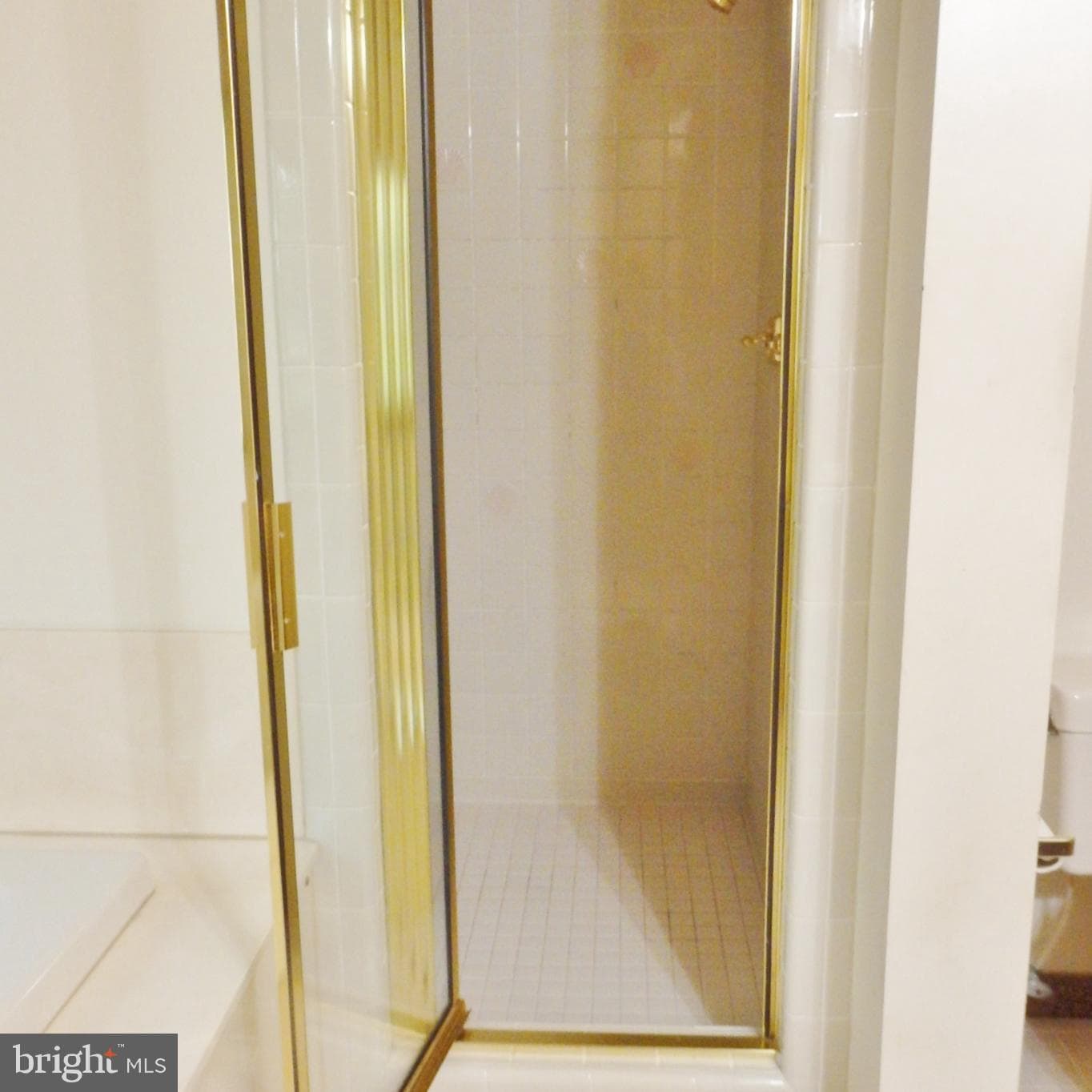 23074 Purple Plum Way photo 42
