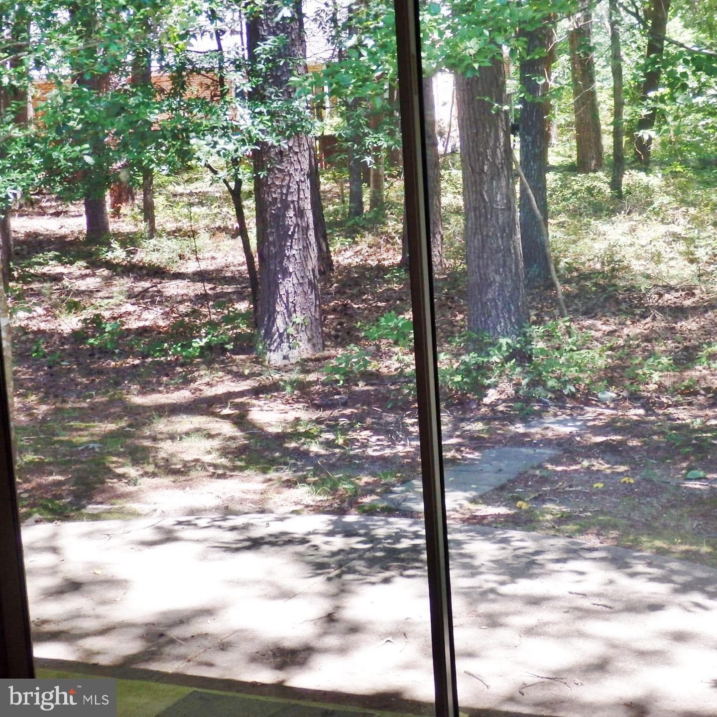 23074 Purple Plum Way photo 51