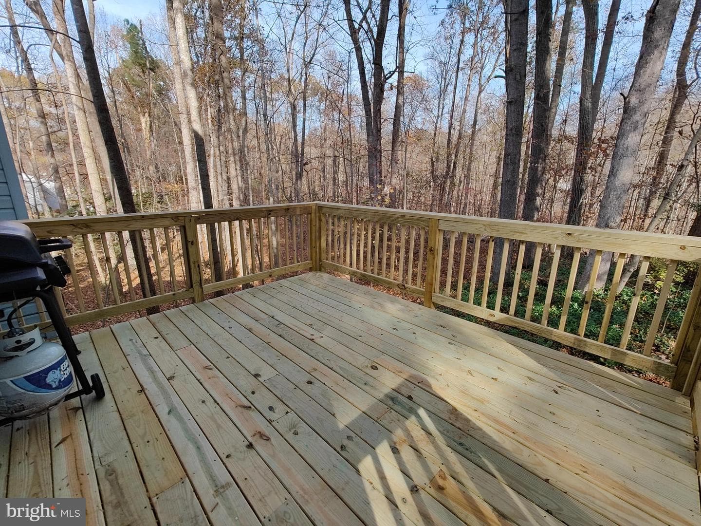 36685 W Lakeland Drive photo 4