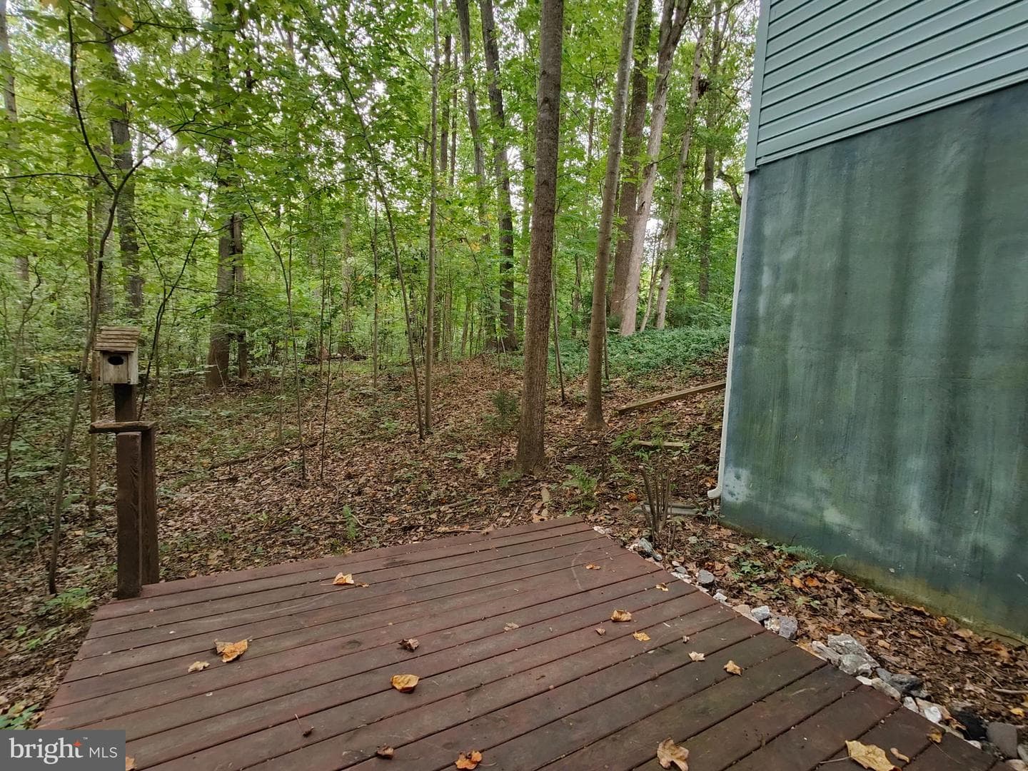 36685 W Lakeland Drive photo 43