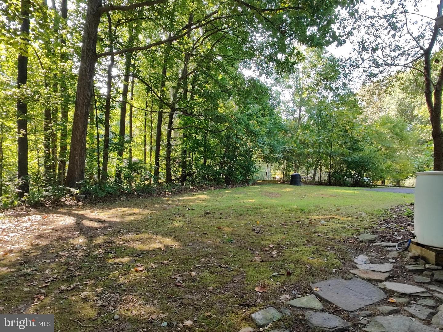 36685 W Lakeland Drive photo 8