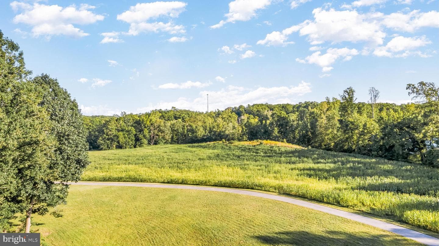 39240 Cooney Neck Road photo 62