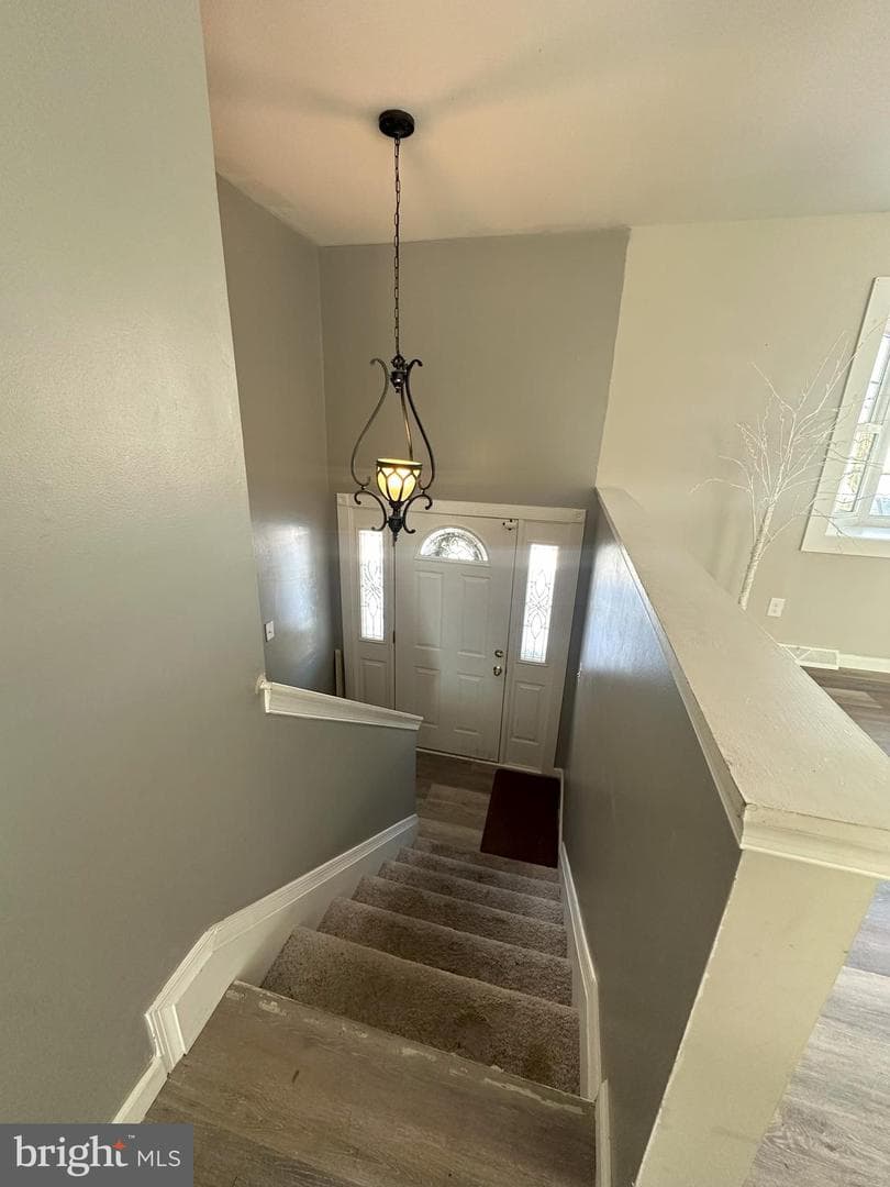 45867 Broun Terrace photo 15