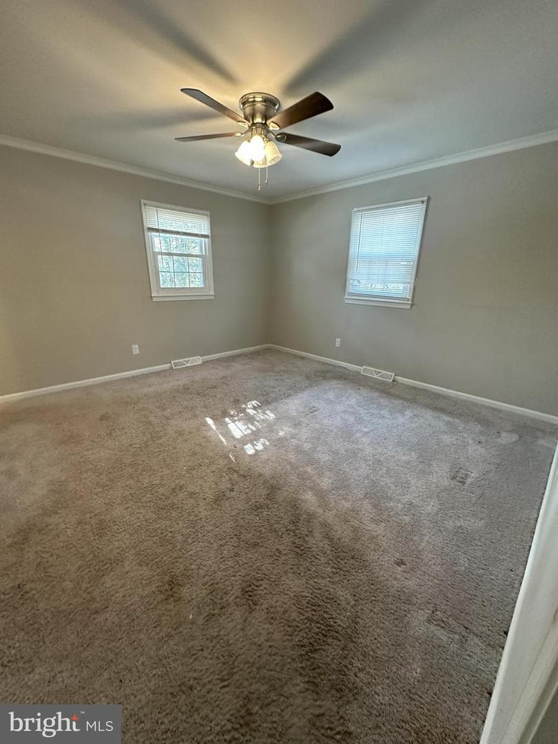 45867 Broun Terrace photo 18
