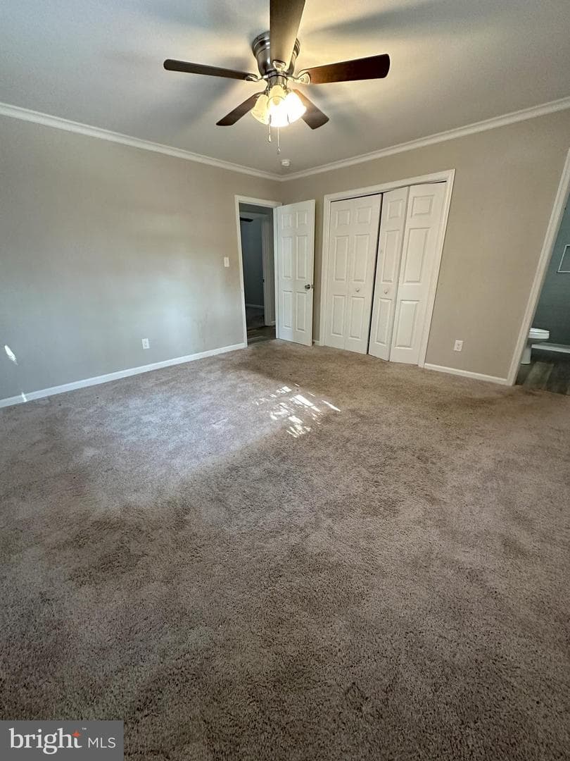 45867 Broun Terrace photo 19