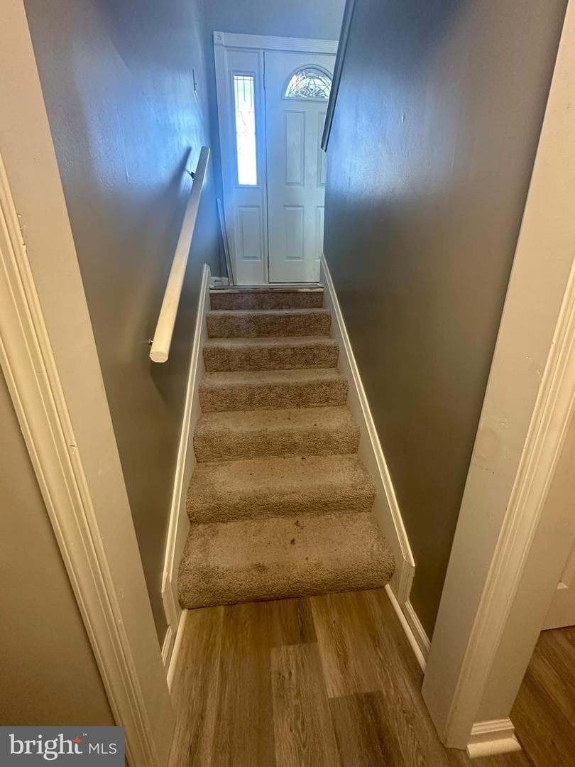 45867 Broun Terrace photo 23