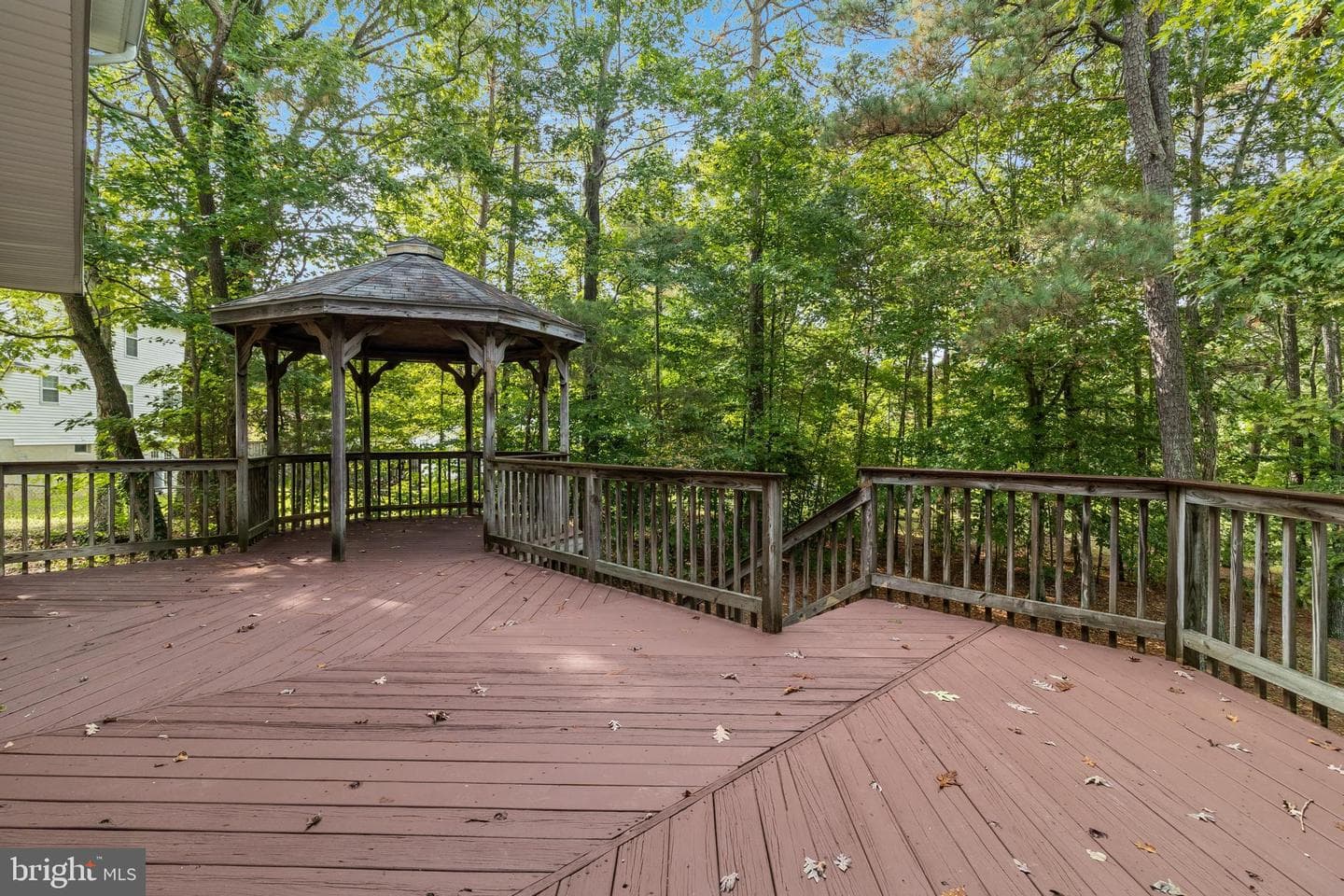 20929 Black Duck Court photo 46