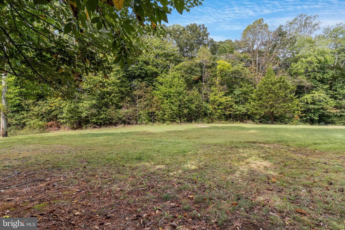 20929 Black Duck Court photo 48