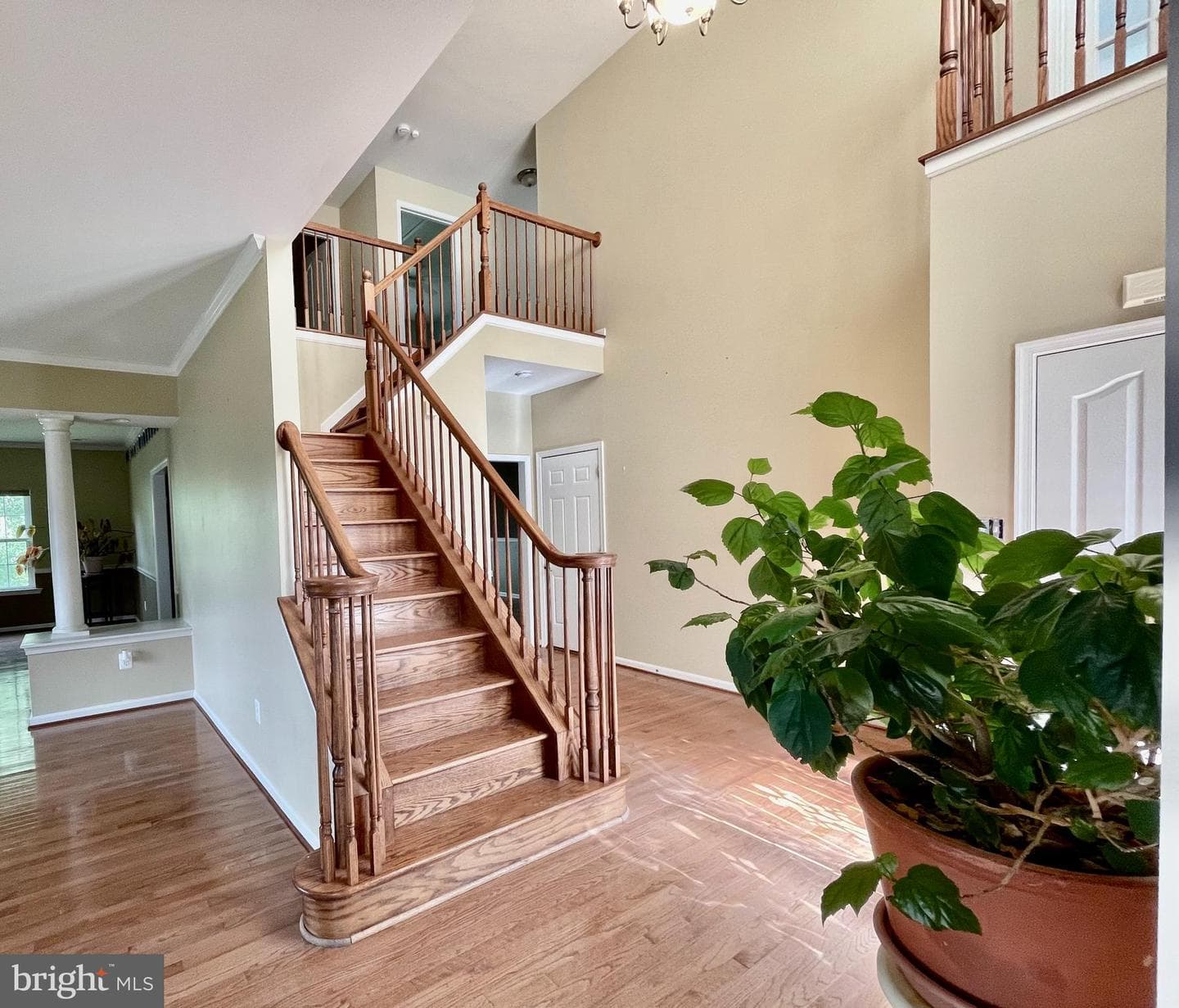 46350 Dunleigh Court photo 26