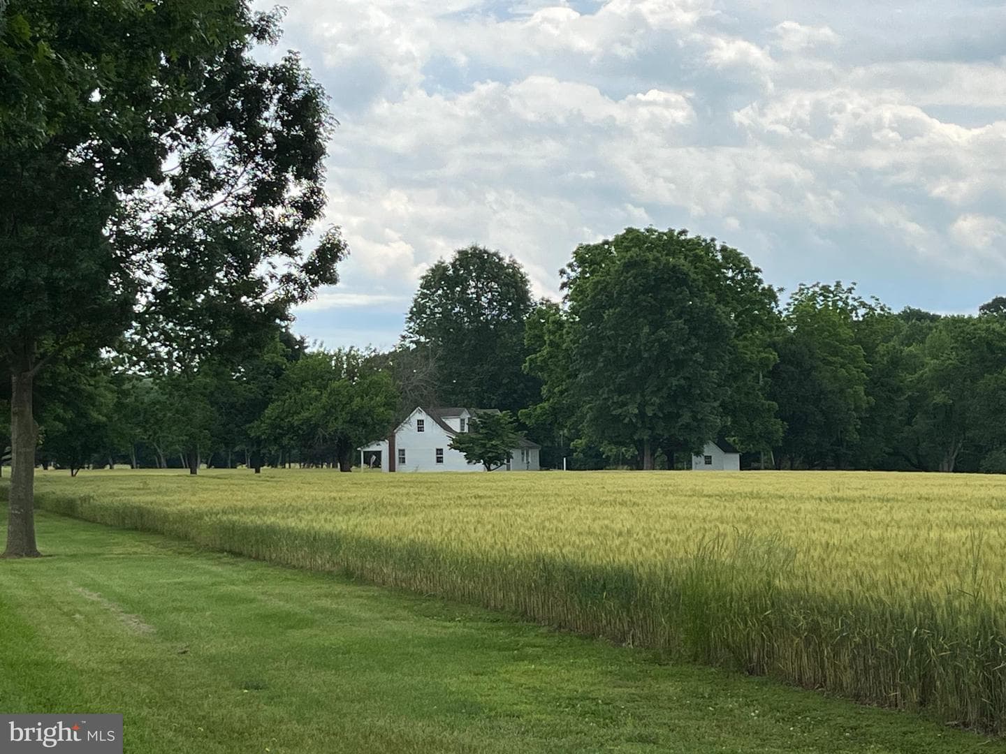 Bayside Road photo 11