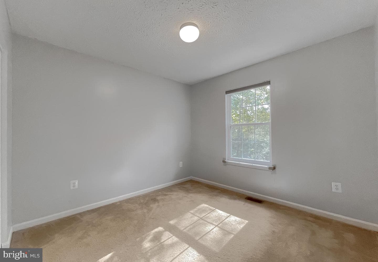 26405 Meadow Wood Drive photo 20