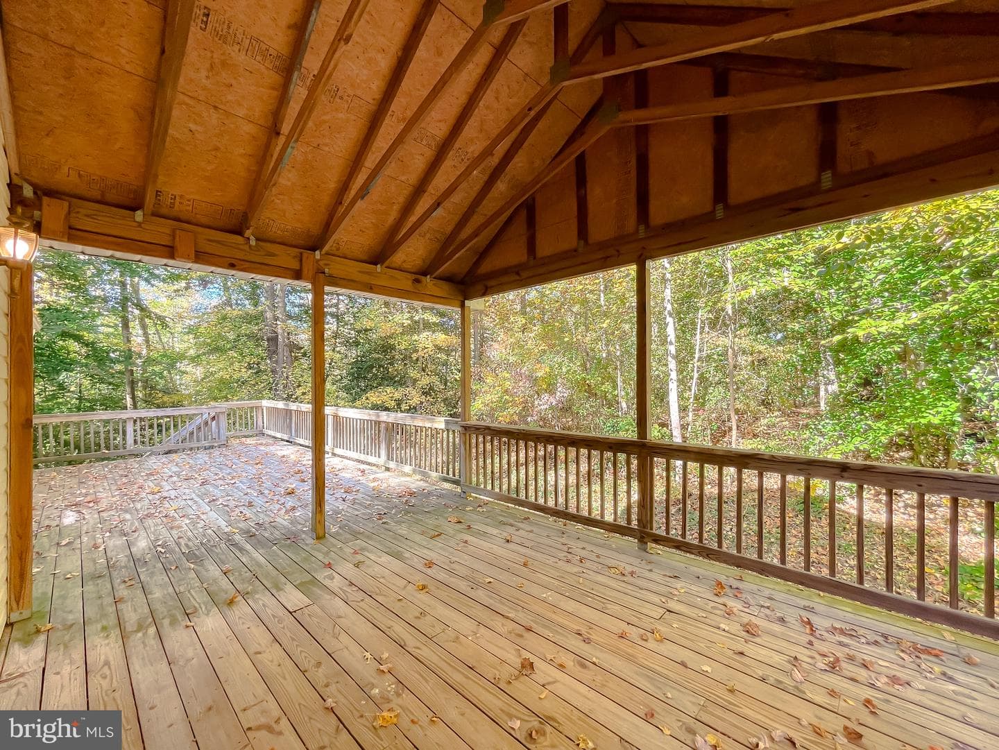 26405 Meadow Wood Drive photo 38
