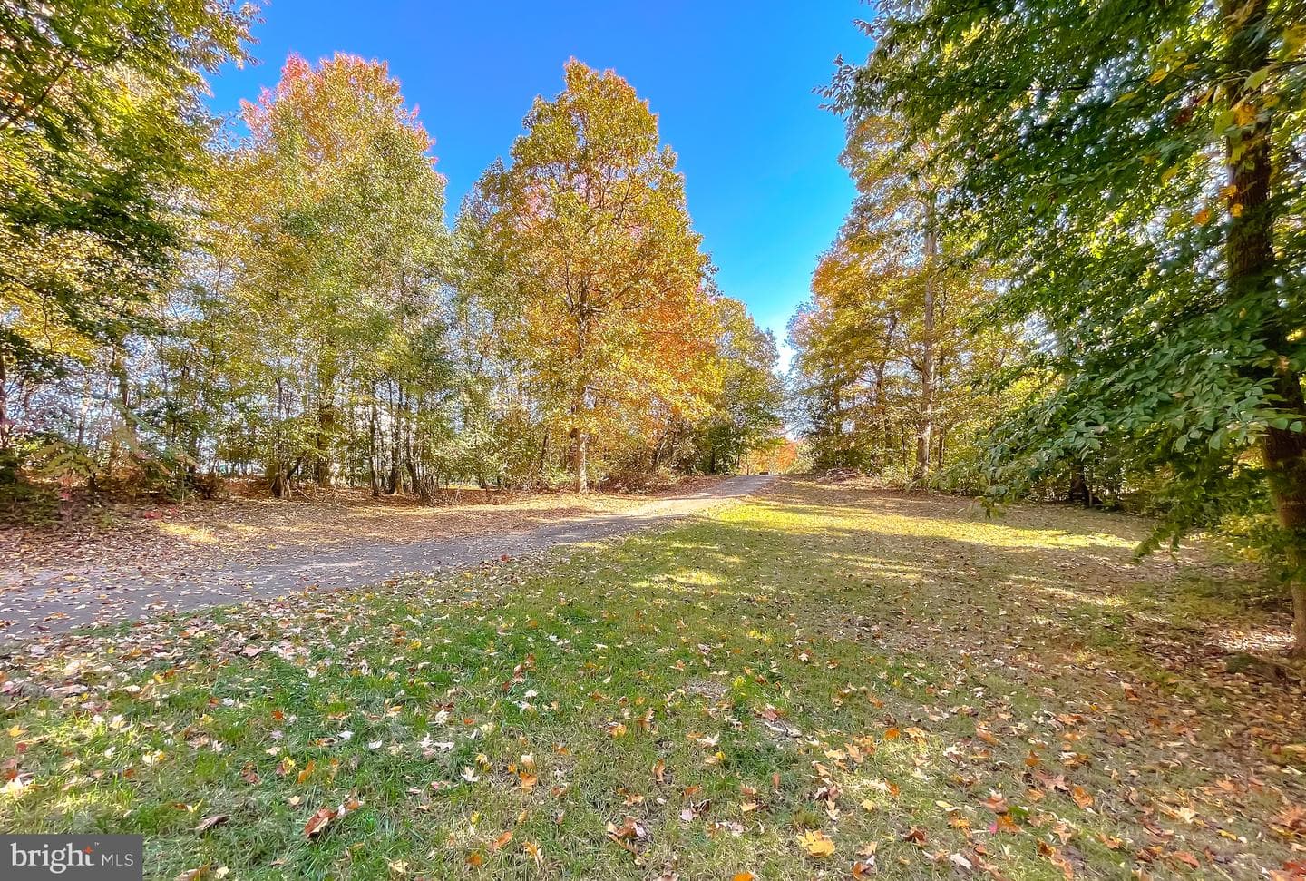 26405 Meadow Wood Drive photo 39