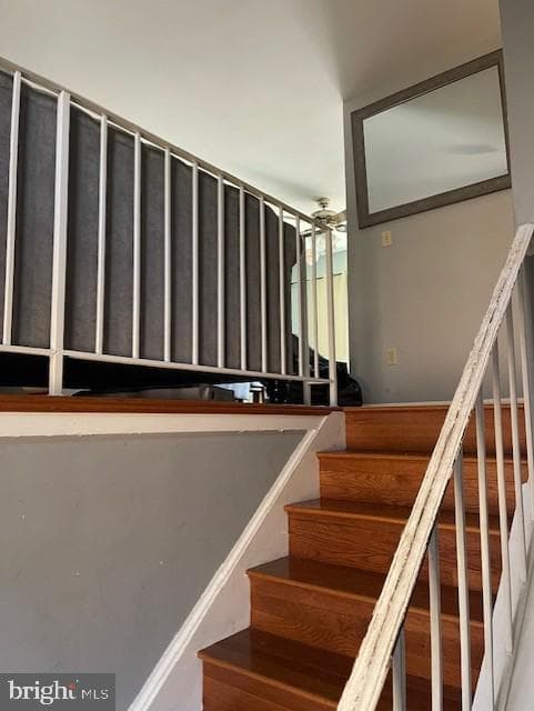 25137 Gallant Fox Drive photo 2