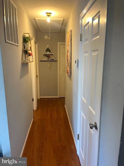 25137 Gallant Fox Drive photo 8