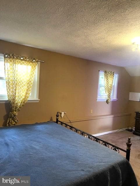 25137 Gallant Fox Drive photo 9