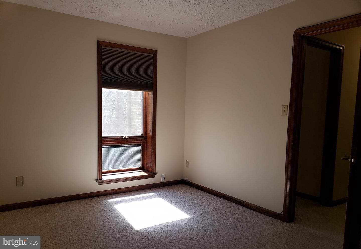 44691 White Oak Court #6a photo 14