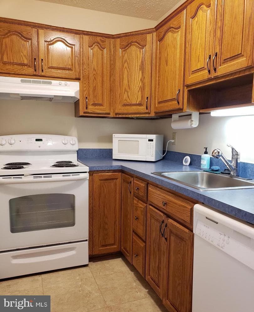 44691 White Oak Court #6a photo 4