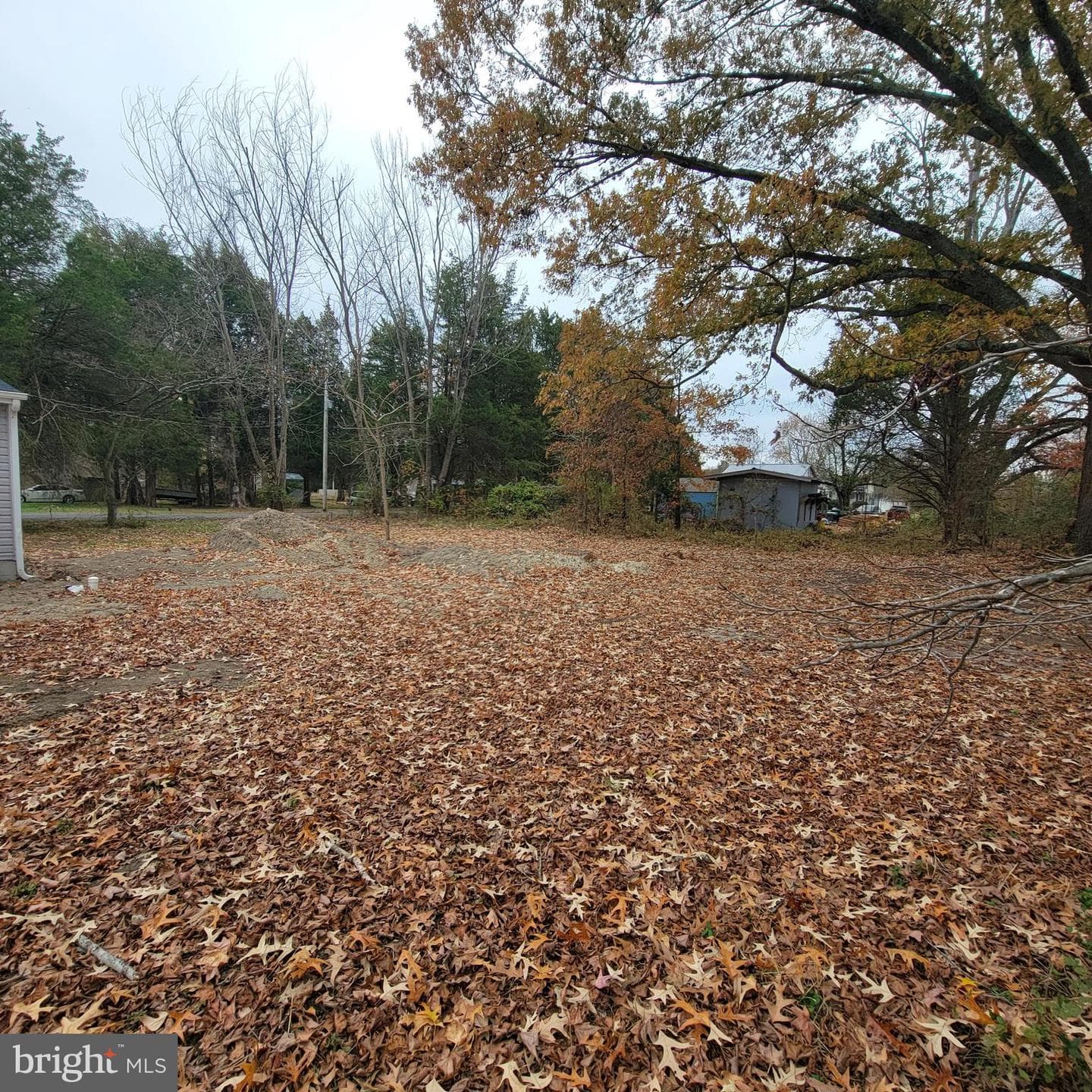 36755 Woodbush Drive photo 15