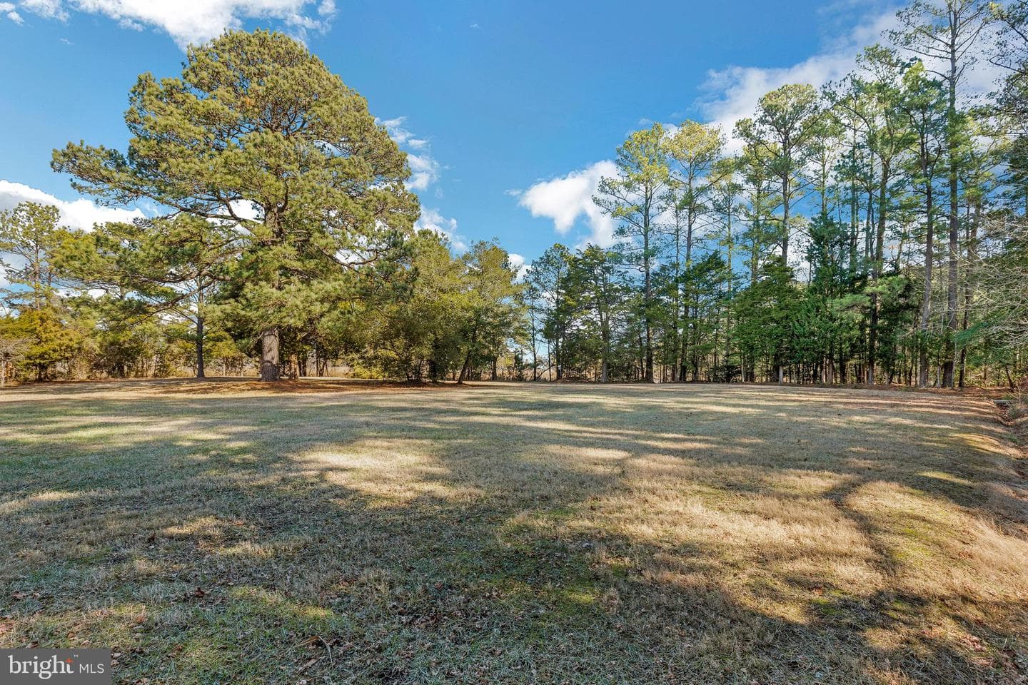 16185 Bradburn Lane photo 44