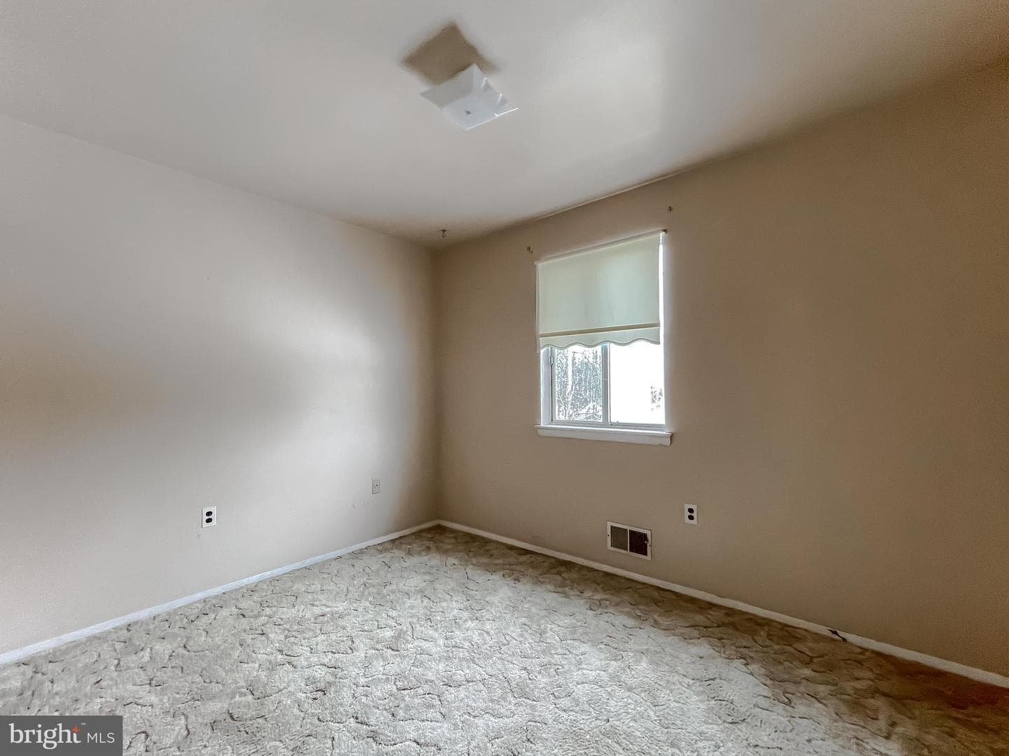 27136 Dogwood Lane photo 13